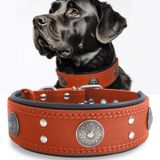 Coleira Para Cães, Cor De Pp, Couro Genuíno, Laranja Resistente