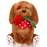 Cachorro De Pelúcia Do Dia Dos Namorados Segurando Uma Rosa Vermelha 32cm