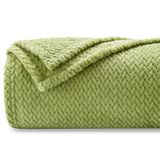 Cobertor Newcosplay Super Soft Flannel Fleece Green Twin