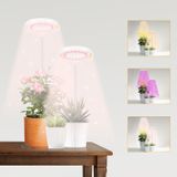 Pacote Com 2 Lâmpadas Led Grow Light Gooingtop Halo Para Plantas De Interior