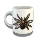 Caneca De Porcelana 325ml Com Design 3d Exclusivo Aranha