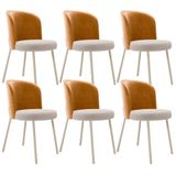 Kit 6 Cadeiras Sala De Jantar Estofada Gavi Arena L02 Couríssimo Whisky Bouclê Creme Lyam Decor