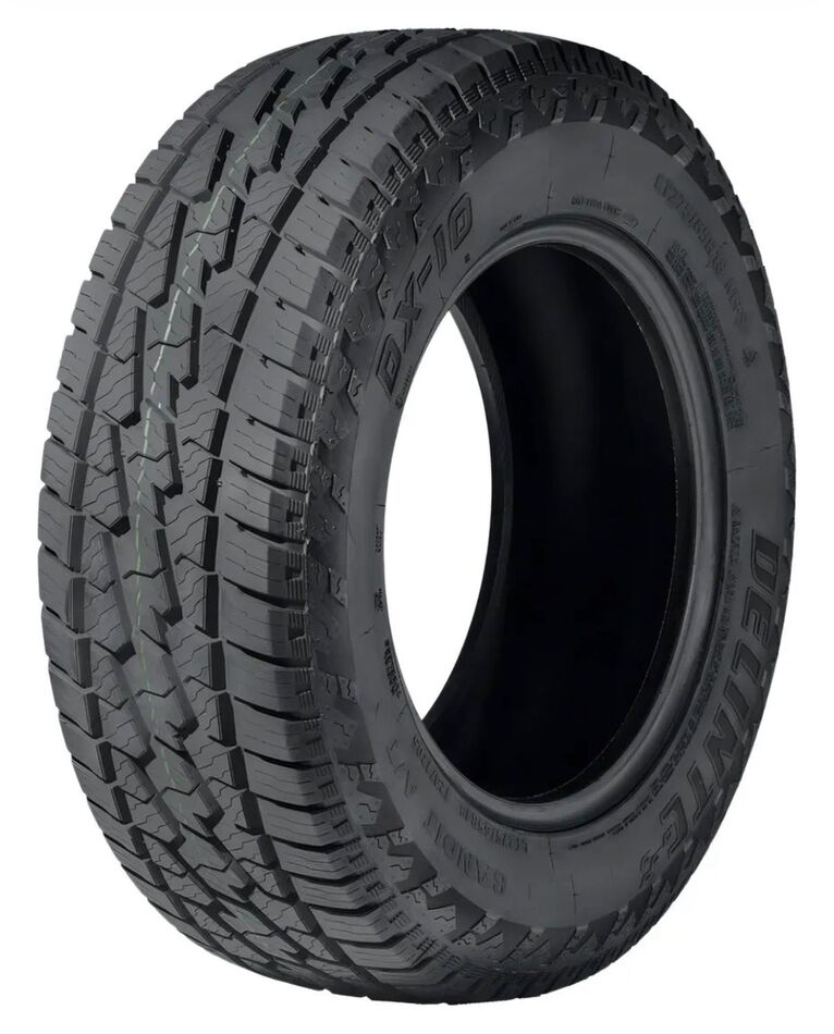 Pneu Delinte Dx10 Bandit A/t 315/70 R17 121/118s