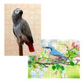 2 Quebra-cabeças Inclusivos 40 Peças Aves Belas Para Mentes Inteligentes