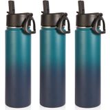 Garrafa De Água Totalmente Isolada De 700 Ml Com Palha, Pacote Com 3 Unidades Dark Night