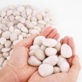 River Rocks Whanley L&amp;q Creme Natural Branco 4,5 Kg 2-4 Cm