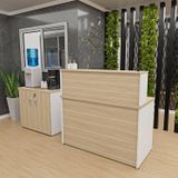 Conjunto Armário Baixo Balcão Atendimento Recepção Dubai/branco
