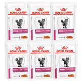 Kit 6 Ração Úmida Sachê Royal Canin Veterinary Diet Renal Gatos Adultos 85g