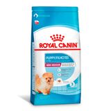 Ração Royal Canin Mini Indoor Junior Cães Filhotes Porte Pequeno 1kg