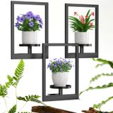Suporte De Plantas De Parede Duxeuwe Picture Frame Metal Black 3 Peças