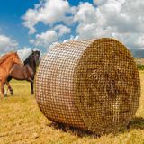 Rede De Feno Redonda Bale Miyabala Para Cavalos, Gado E Ovelhas De 5 X 5 Pés