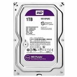Hd Western Digital 1tb Purple, 5400 Rpm, Sata 3 - Wd10purz