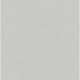 Papel De Parede Sheilas Textura Cinza 32401