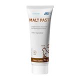 Suplemento Malt Paste Para Gatos Mundo Animal 70g