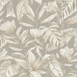 Papel De Parede Belize Folhagem Cinza Bz3103