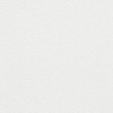 Papel De Parede Ivy Textura Branco 6805-10