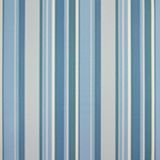 Papel De Parede Listrado Classic Stripes Ct889024 Vinílico - Rolo 10m X 0,53m