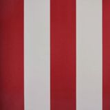 Papel De Parede Listrado Classic Stripes Ct889060 Vinílico - Rolo 10m X 0,53m