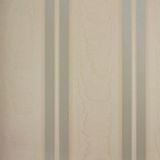 Papel De Parede Listrado Classic Stripes Ct889112 Vinílico - Rolo 10m X 0,53m