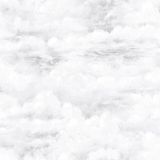 Papel De Parede Deauville 2 G56427 - Rolo 10m X 0,53m