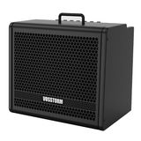 Amplificador Cubo De Guitarra Vosstorm Gx-10