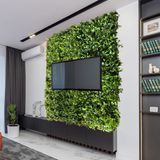 20 Painéis Prontos Para Uso Folhagem Mista De Cheflera Parede De Plantas Permanentes Linha Premium 60x40