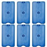 6 Placa Gelox Gelo Artificial Reutilizavel Bolsa Térmica