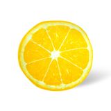 Manta De Lã Redonda Toynk Lemon Slice 150 Cm
