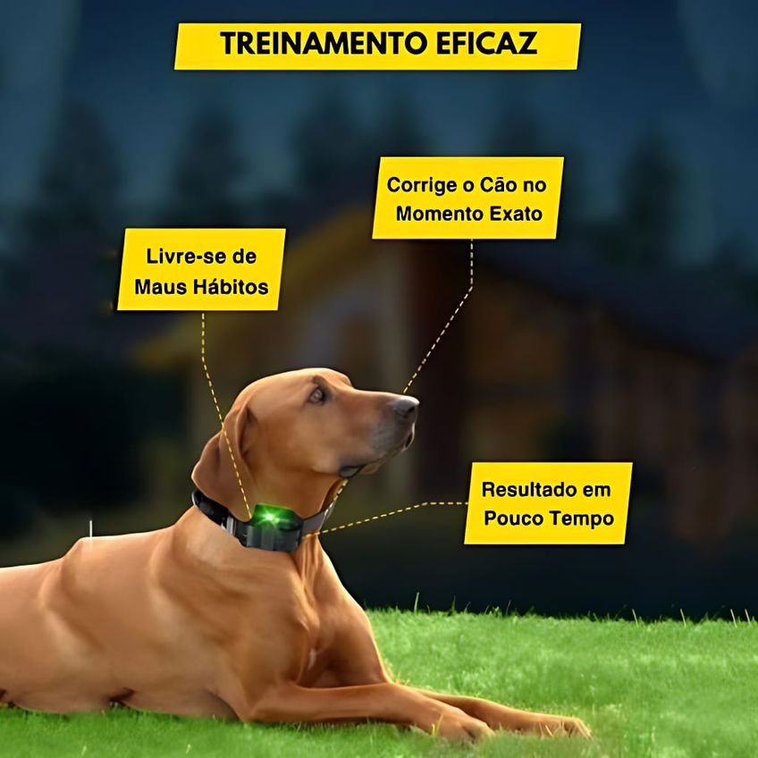 Coleira De Adestramento Cães Recarregável C/ Controle Remoto - imagem 4