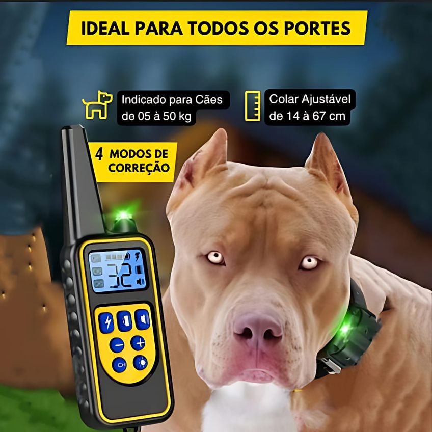 Coleira De Adestramento Cães Recarregável C/ Controle Remoto - imagem 5
