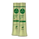 Kit Jaborandi Antiqueda Haskell Shampoo Condicionador 500ml