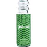 Água De Cheiro Feminino Roberto Cavalli Just Wild Orchard 250 Ml