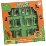 Brinquedo Educacional Científico Geoworld Bugs World Com 12 Insetos