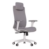 Cadeira De Escritório Ergonômica Elements Roi Cinza
