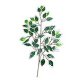 Folha Artificial Ficus Ponta Branca - 60cm