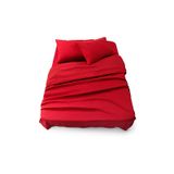 Lençóis Polar Savanas 2 Vermelhos Para Cama De Solteiro 220x270cm Com Capa