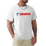Camiseta Masculina Casual De Algodão Vbfrefdsop Limp Music Bizkit