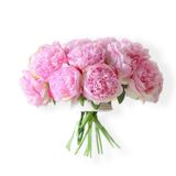 Buquê De 5 Peônias De Seda Para Decoração - Ramo Pioneies Of