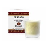 Vela Perfumada Gengibre Terrapeutics 180g Granado