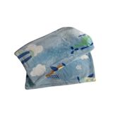 Cobertor Infantil Bebê Hazime Flannel Prime Baby 90 X 110cm Zepelin