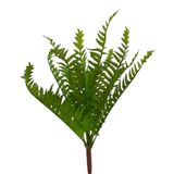 Flor Artificial Samambaia 11 Folhas - 34cm