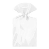 Saco Celofane Transparente 15cm X 30cm - 50 Unidades