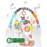 Carrinho De Bebê Arch Toys Pau1hami1ton S-19 Zebra Para Berço