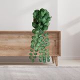 2 Pendentes De Melancia Artificial Verde 100x20 Para Decoração Em Estilo Natural E Elegante Em Paredes