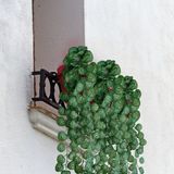 9 Folhagens Artificiais Begônia Pendente Verde Para Decoração De Paredes E Espaços Internos Naturais