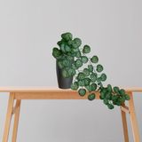 4 Pendentes De Folhagens Artificial Melancia Verde Para Decoração Interna Sofisticada E Aconchegante