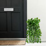 6 Folhagens De Pendente Artificial De Begônia Variegata Verde Para Decoração Em Estilo Natural E Charmoso 100x20