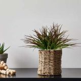 6 Plantas Artificiais Buquês De Capim Adicione Um Toque Natural A Ambientes Internos Com Lindas Plantas Permanentes