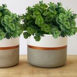 Kit 12 Maços De Eucaliptos Artificiais (6 Hastes Cada) Mini Plantas Decorativas 21 Cm Para Artesanato E Enfeites