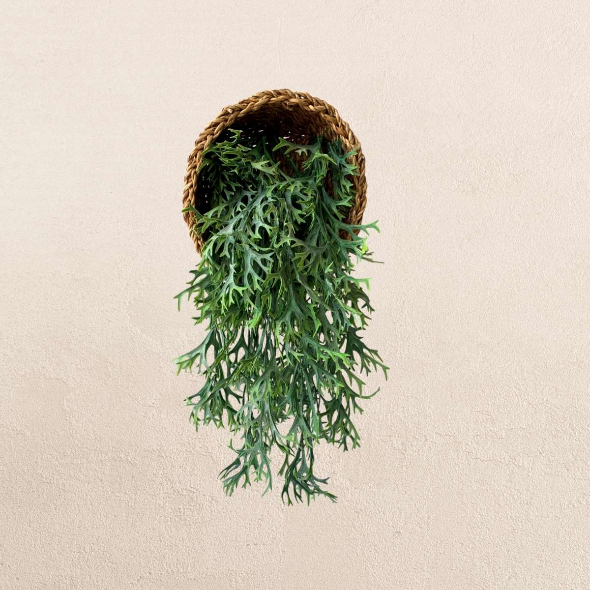 3 Pendentes Chifre De Veado Artificial 75cm Cada – Decoração Permanente Para Ambiente Rústico